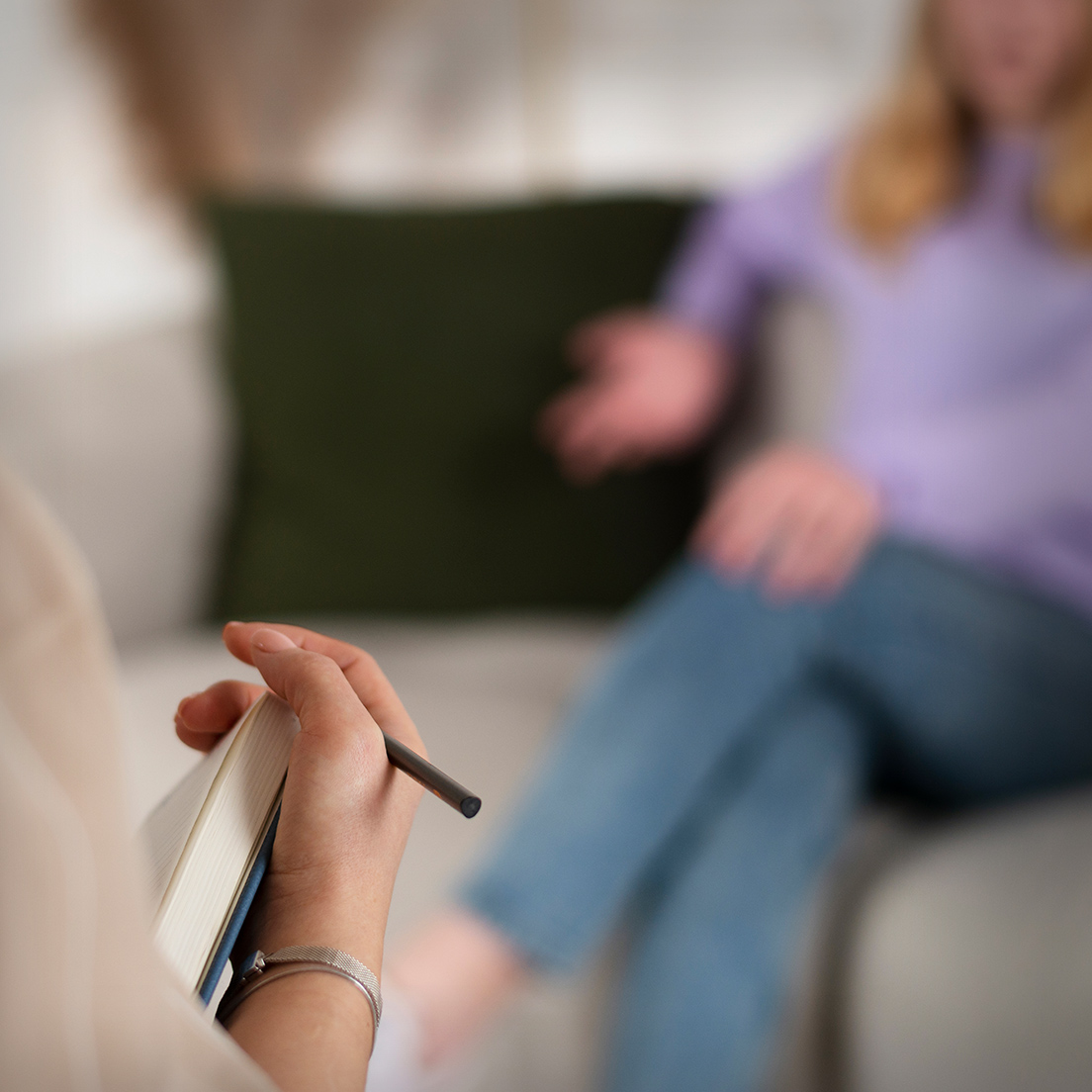 PROGRAM SERVISA PODRŠKE